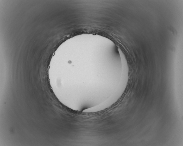 X0000113900865200910221436