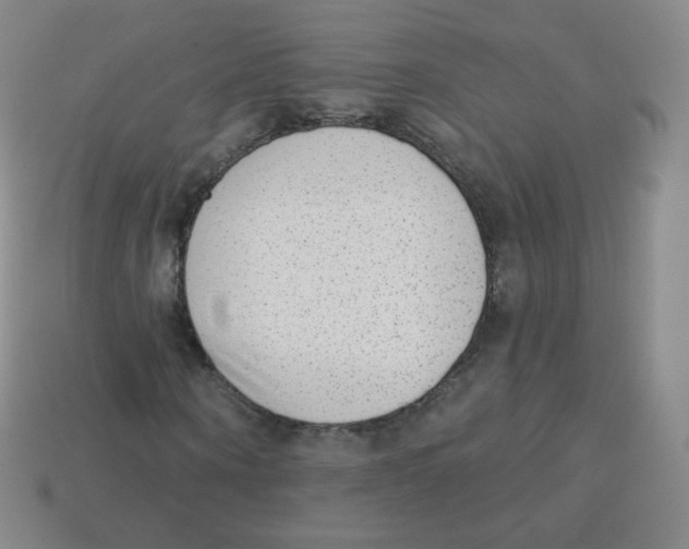 X0000113900866200910221436