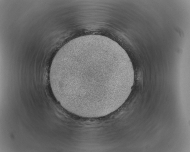 X0000113900868200910221436