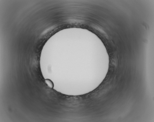 X0000113900869200910221436