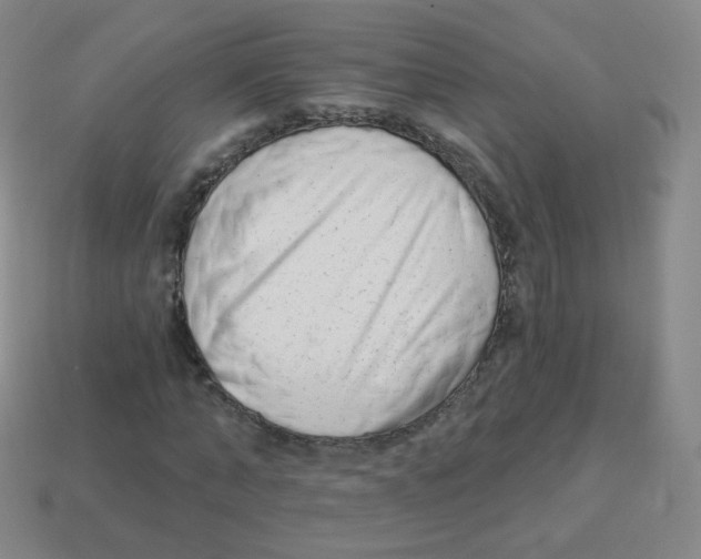 X0000113900870200910221436