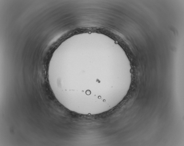 X0000113900871200910221436