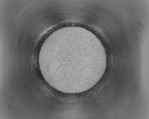 X0000113900872200910221436