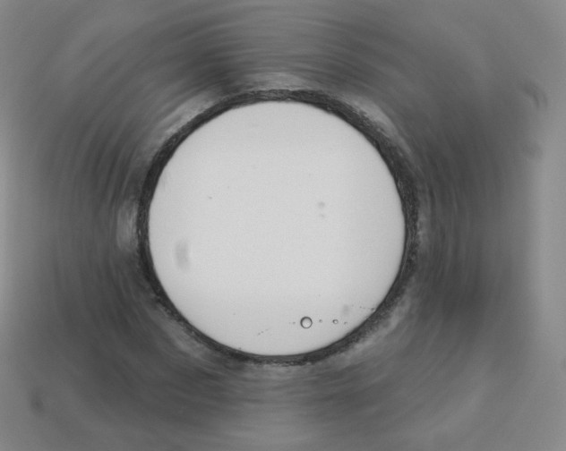 X0000113900873200910221436