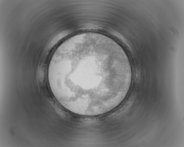 X0000113900874200910221436