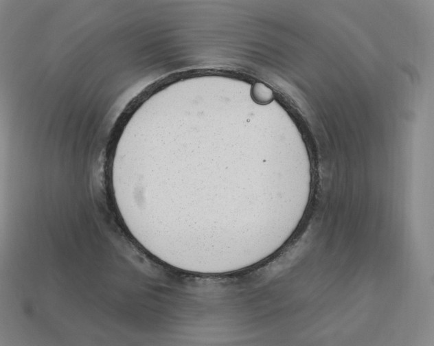 X0000113900875200910221436