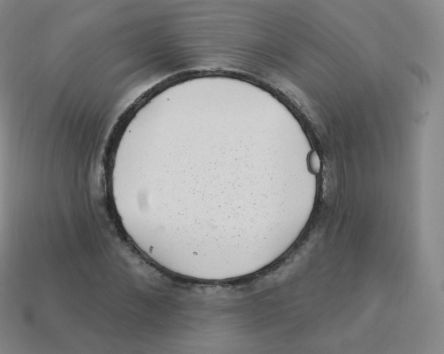 X0000113900876200910221436