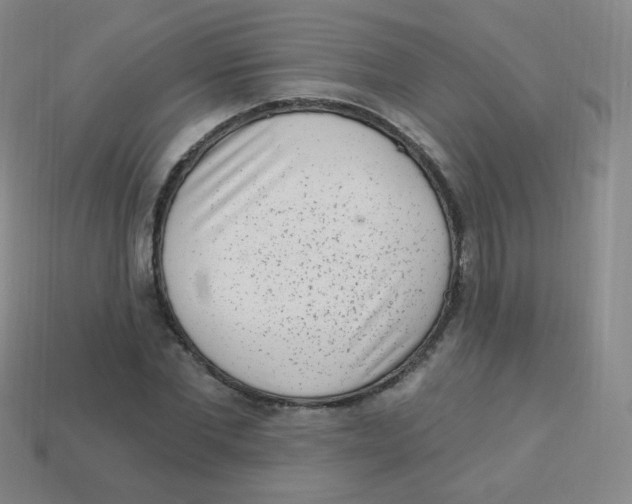 X0000113900877200910221436