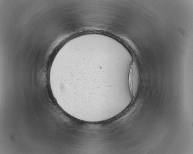 X0000113900878200910221436