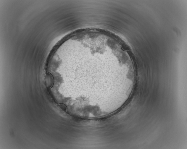 X0000113900879200910221436