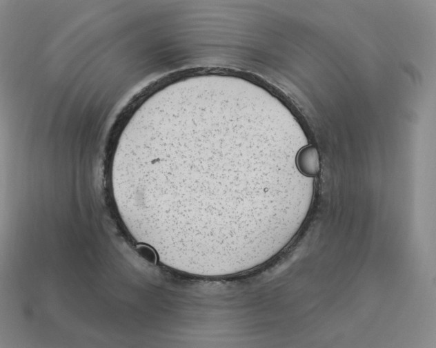 X0000113900880200910221436