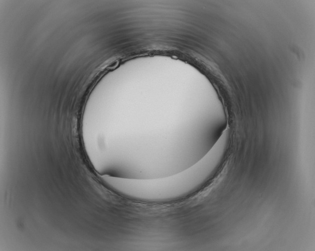 X0000113900881200910221436