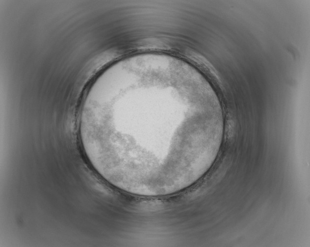 X0000113900882200910221436