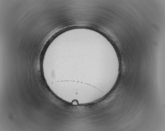 X0000113900883200910221436