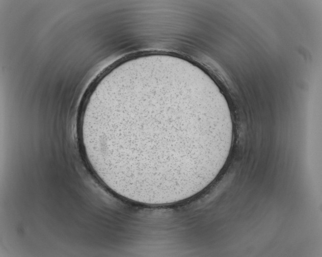 X0000113900884200910221436