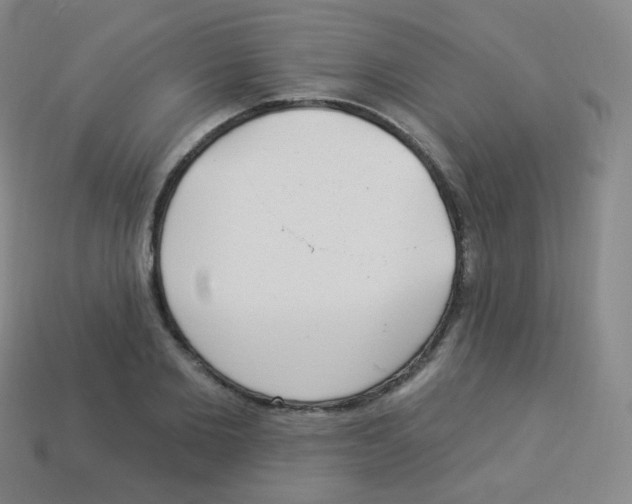 X0000113900885200910221436