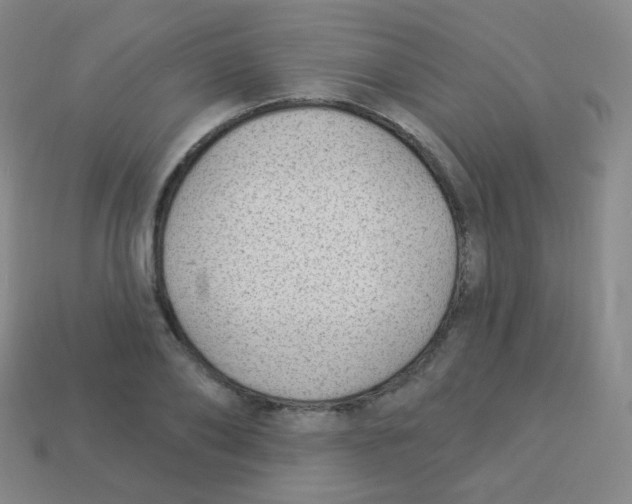 X0000113900886200910221436