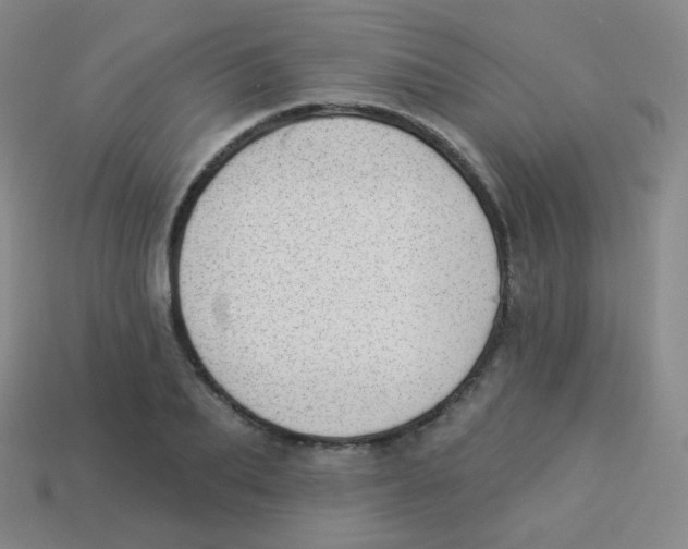 X0000113900887200910221436