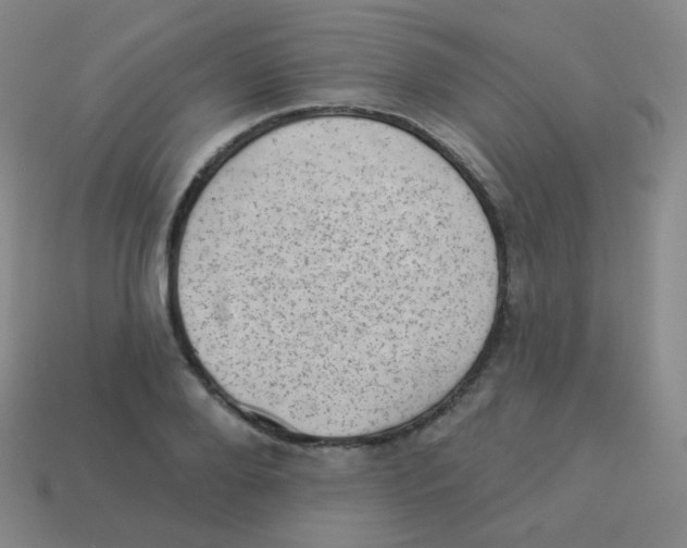 X0000113900888200910221436