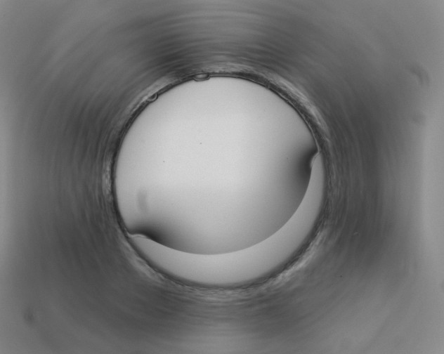 X0000113900889200910221436