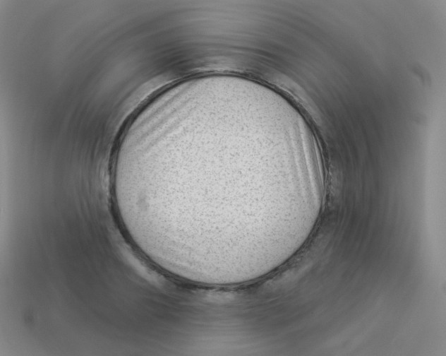 X0000113900890200910221436