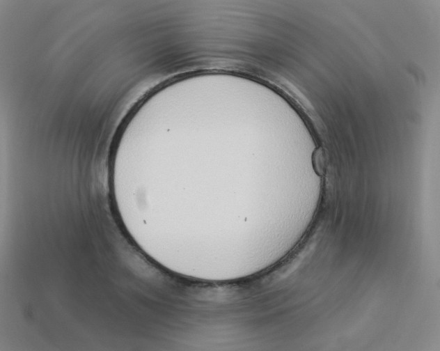 X0000113900891200910221436