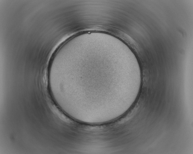 X0000113900892200910221436