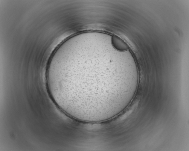 X0000113900893200910221436