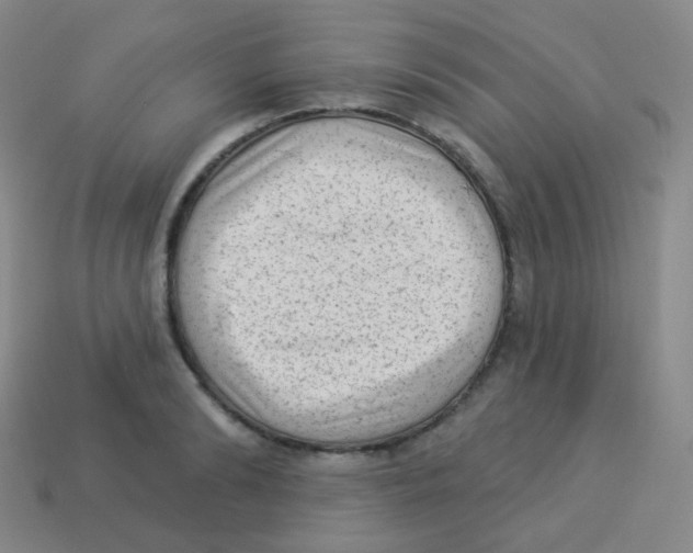 X0000113900894200910221436