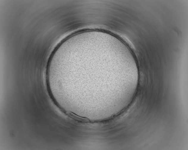 X0000113900895200910221436