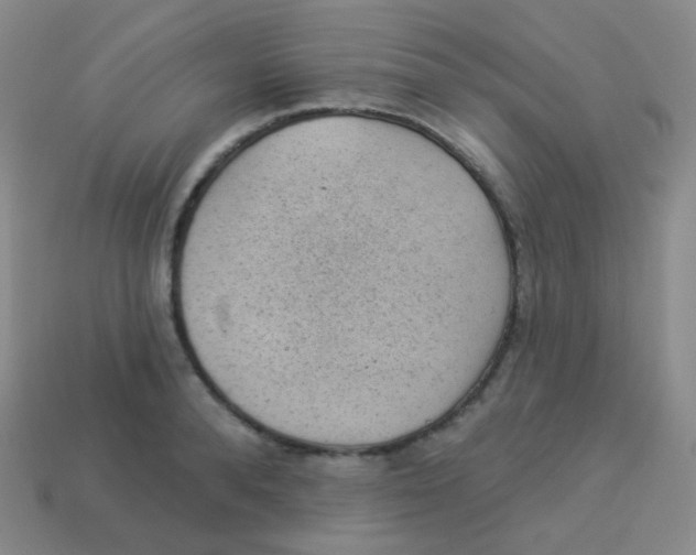 X0000113900896200910221436