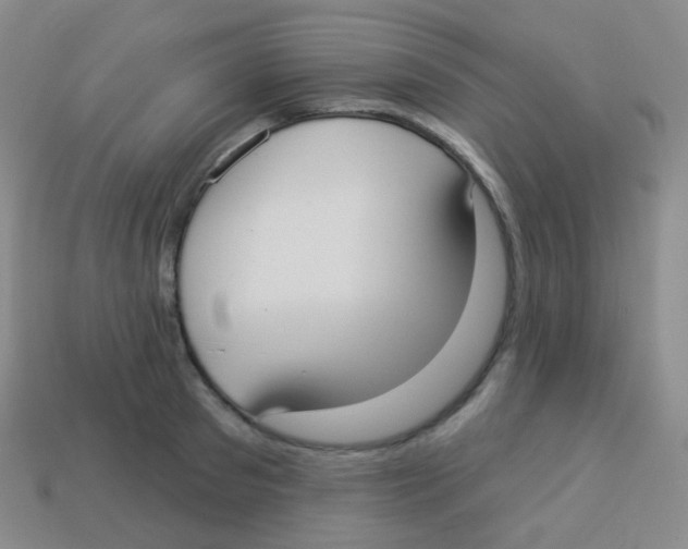 X0000113900897200910221436