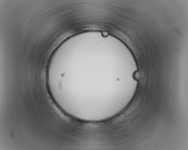 X0000113900898200910221436