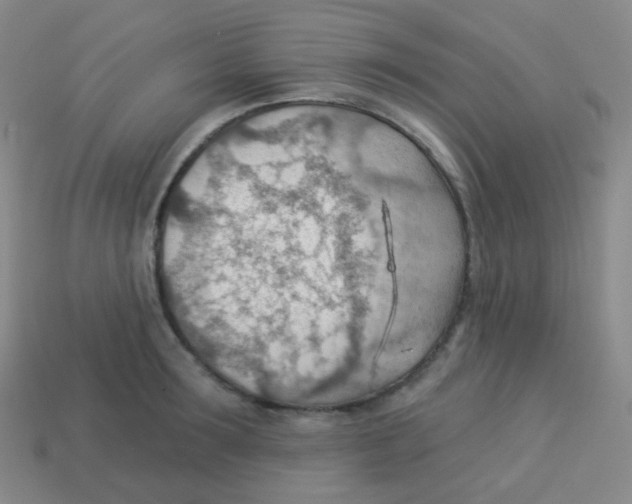 X0000113900899200910221436