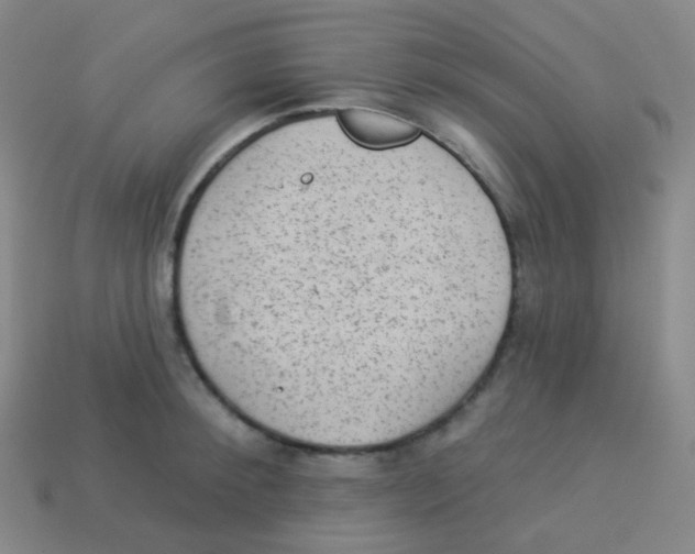 X0000113900900200910221436