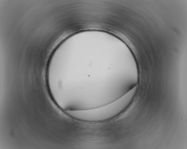 X0000113900901200910221436