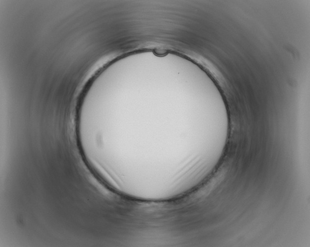 X0000113900902200910221436