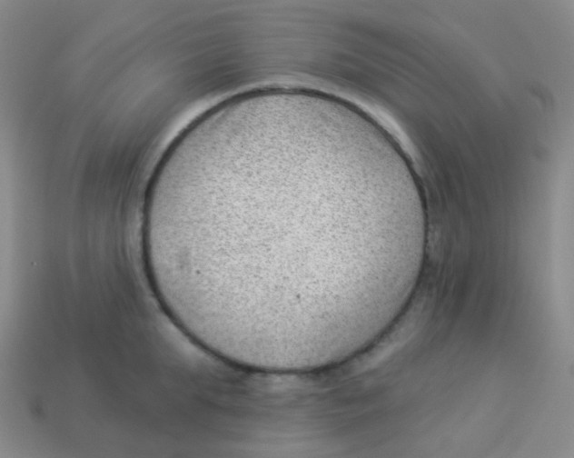 X0000113900903200910221436