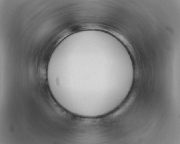 X0000113900905200910221436