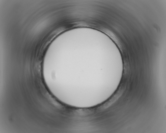 X0000113900906200910221436