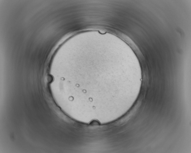 X0000113900908200910221436