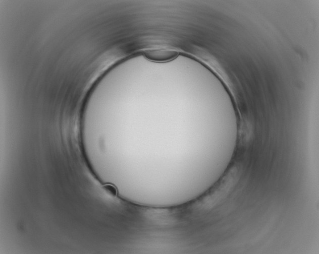 X0000113900909200910221436