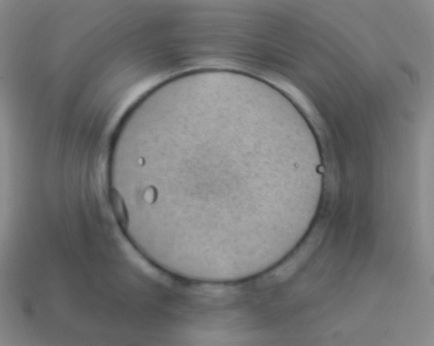 X0000113900910200910221436