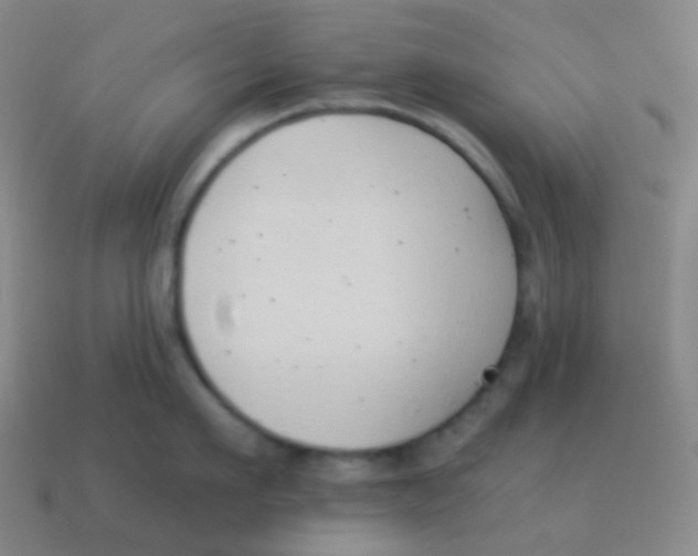 X0000113900911200910221436