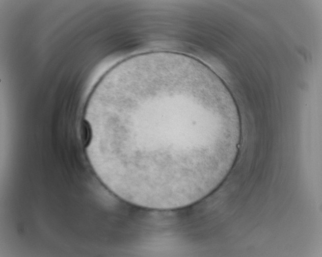 X0000113900912200910221436