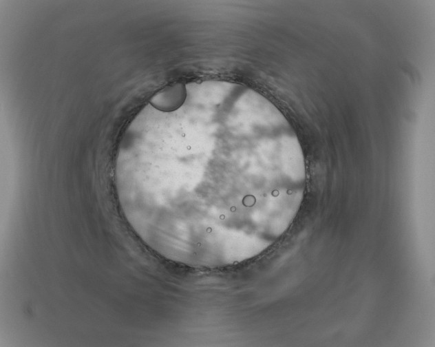 X0000113900913200910221435