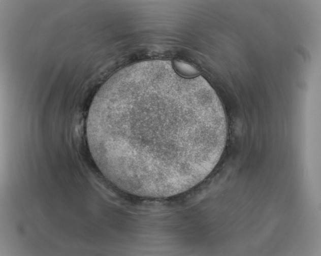 X0000113900914200910221435