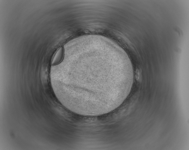 X0000113900915200910221435