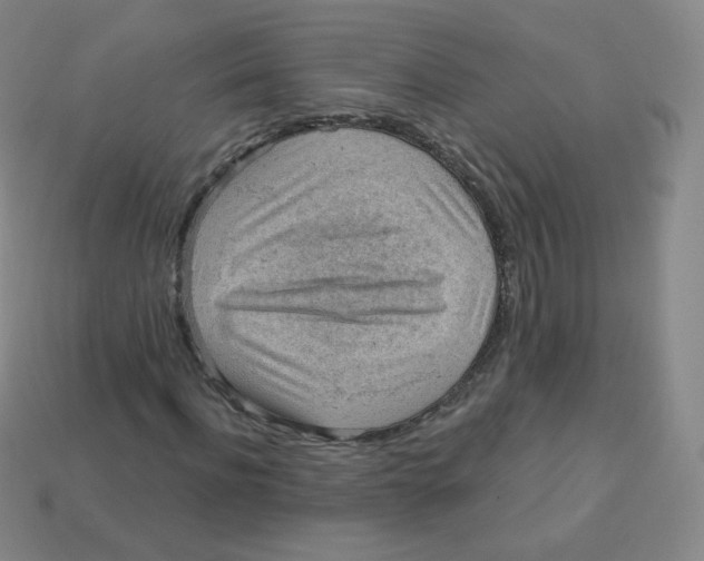 X0000113900916200910221435