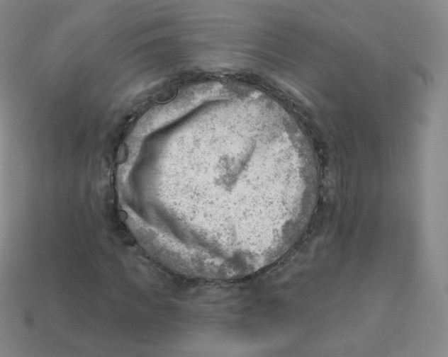 X0000113900917200910221435